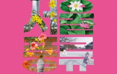 ǾƳ â â ,  ٹ  ǳ ߸