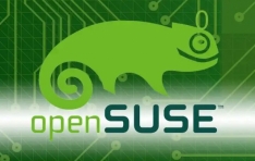 AI   ֵϴ SUSE Linux ֽ  