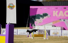 4ȸ KAO èǾʡ ᡦ Ƽ ѹα ǥ 14 