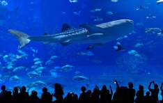 ������� ���޲ٴ� ����, �� ���� ��Ű���͡� ��ȹ�� ���