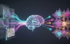 AI�� ���� �� �ż��� ã�Ƴ´١� ������� ��ȣ�� ������, ���� ���� ���� ����ü ����